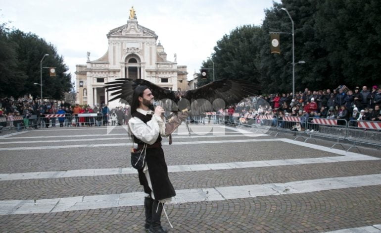 Piatto S. Antonio 2018: successo per Falcong, spettacolo di falconeria a cavallo (foto)