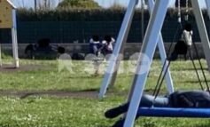 Assisi al Centro: "Santa Maria non può essere lasciata nel degrado"