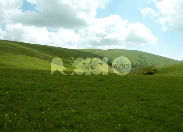 Il respiro verde dell'Umbria: sul Monte Subasio nasce la prima "Giornata delle Foreste Regionali"