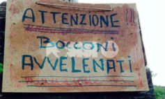 Bocconi avvelenati a Passaggio di Bettona: scatta l’allarme tra i residenti