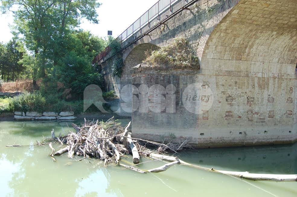 Rino Freddii: "Ponte di Petrignano, degrado ambientale e architettonico"