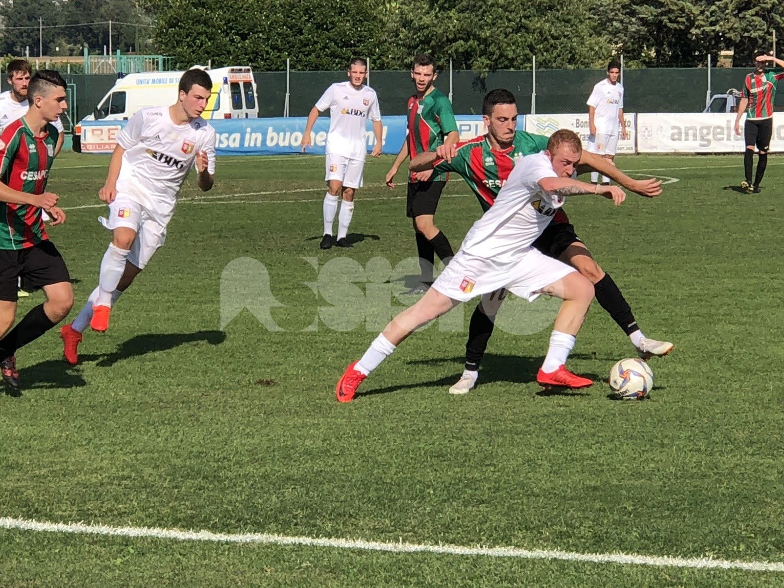 Calcio Umbria, disputato il turno domenicale: risultati e classifiche