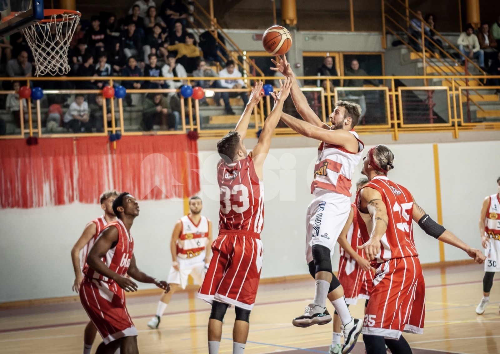 Virtus Assisi, nona vittoria in dieci gare: sconfitto Orvieto Basket 70-49