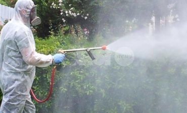 Disinfestazioni e derattizzazioni assenti ad Assisi: l'attacco di Travicelli