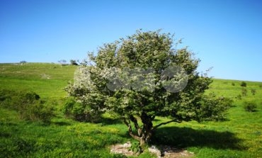 Lega: "La montagna di Assisi è una risorsa straordinaria, trascurata in questi anni"