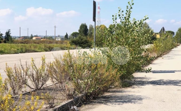 Zona industriale di Santa Maria degli Angeli: chi se ne deve prendere cura?