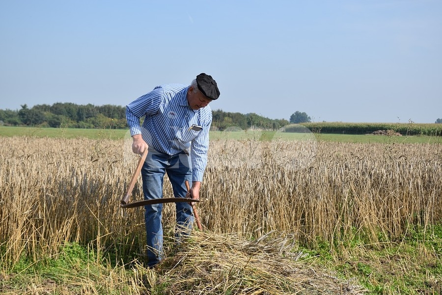 Agricoltura amatoriale o ricreativa, Assisi Domani chiede un via libera agli spostamenti
