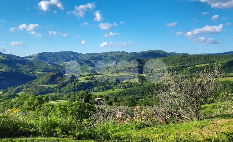 Assisi al panel Unesco: “Grande voglia di ripartire, partnership tra Subasio e Peglia”