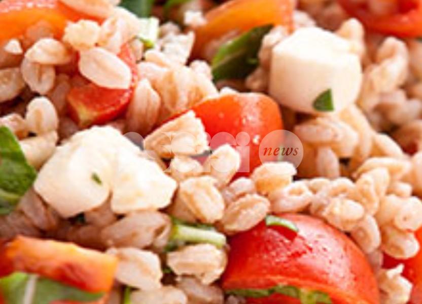 Insalata di farro: ricetta estiva light, ingredienti e preparazione