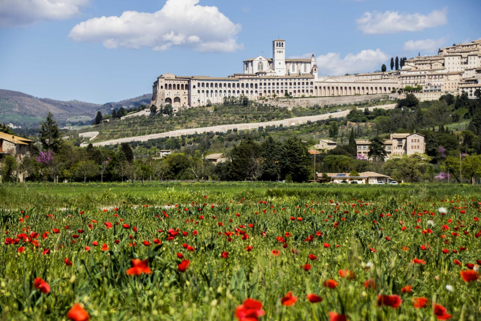 The Economy of Francesco School, al via il corso di alta formazione