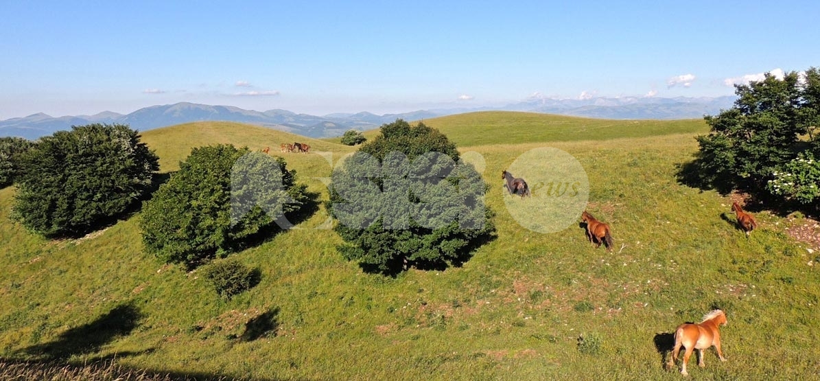 Evento sul Subasio, Cosimetti: "Confermato e conforme all'ordinanza del sindaco"