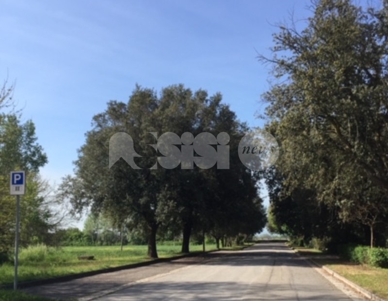 Cammini, Antonio Lunghi: "Dalla giunta azioni e risultati deludenti"