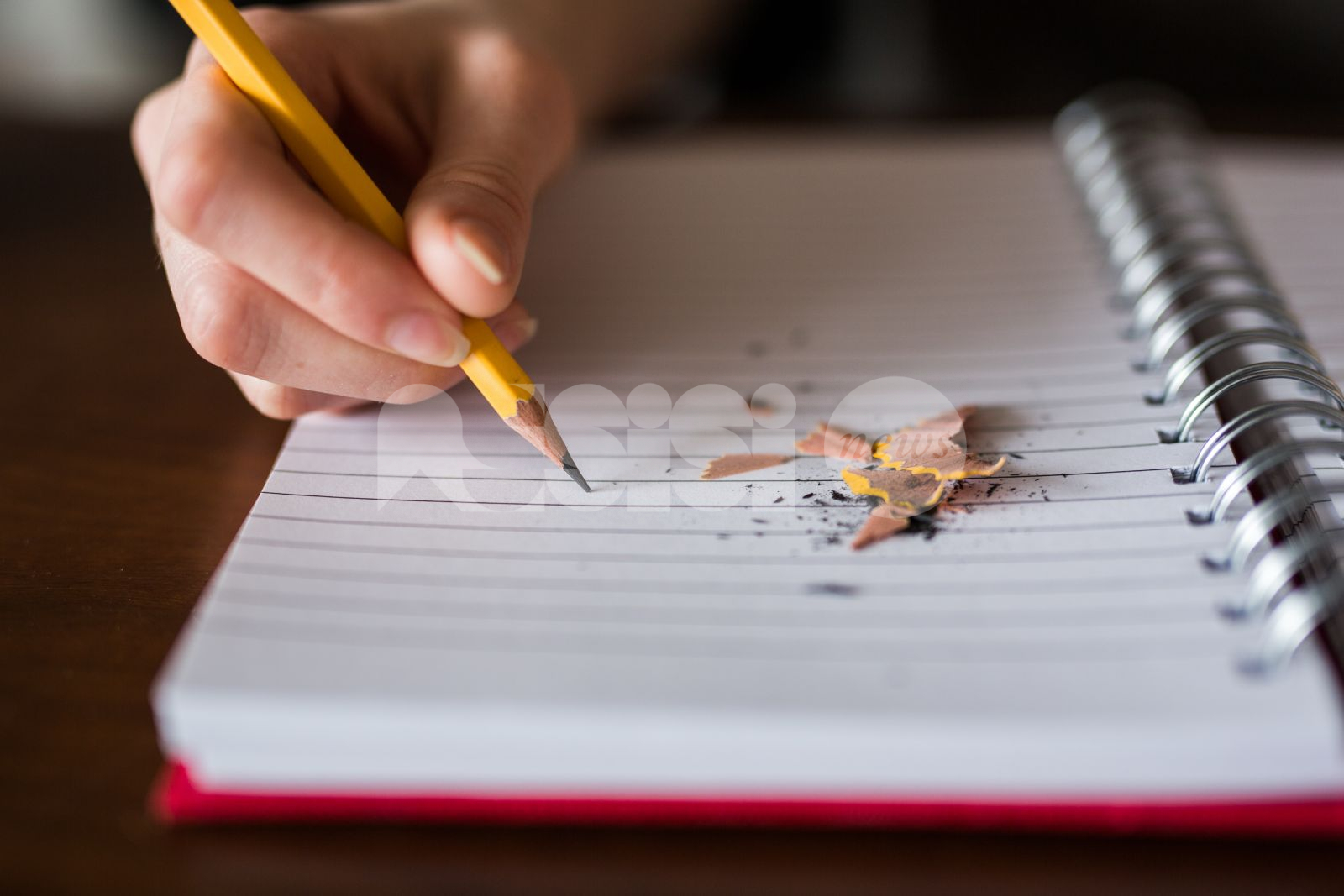 Il futuro della scuola, se ne parla mercoledì 22 con la coalizione Proietti