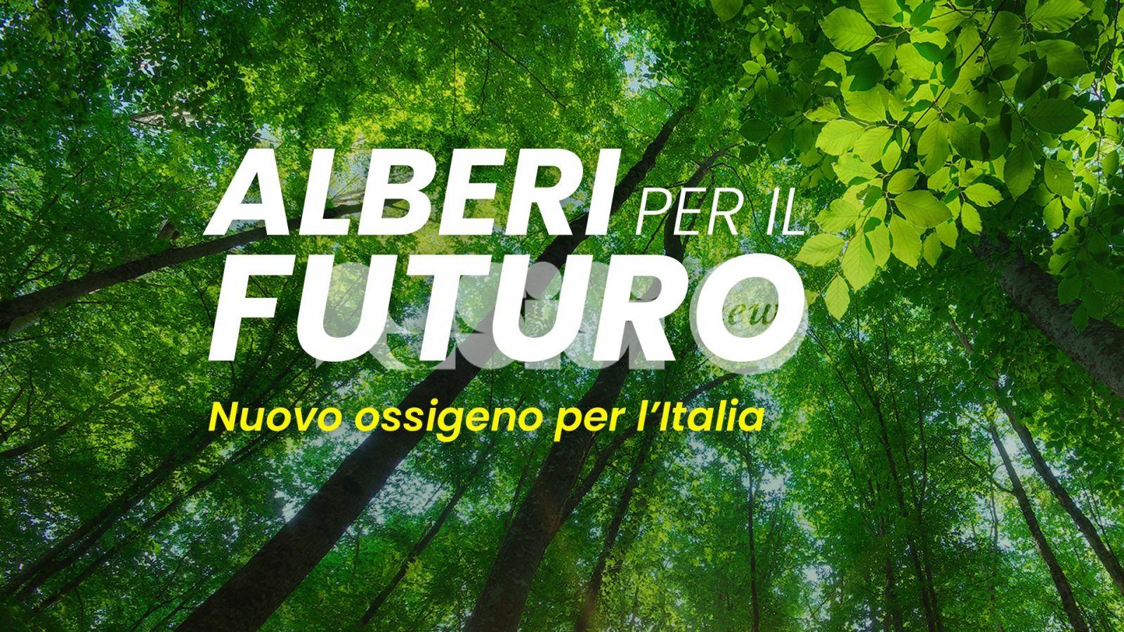 Alberi per il futuro 2021, ad Assisi appuntamento domenica 21