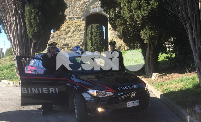 Compra 240 sacchi di pellet online, ma è una truffa: denunciati finti venditori