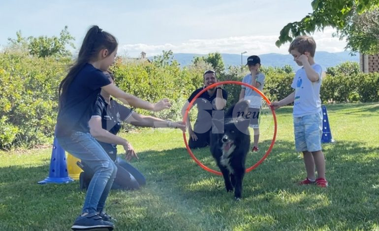 Ambra and Friends, ad Assisi un progetto dedicato ai bambini rifugiati, di attività ludiche insieme a cani professionisti