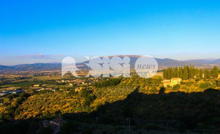 Zrc nel parco del Monte Subasio e gestione dei cinghiali, le minoranze presentano un’interpellanza