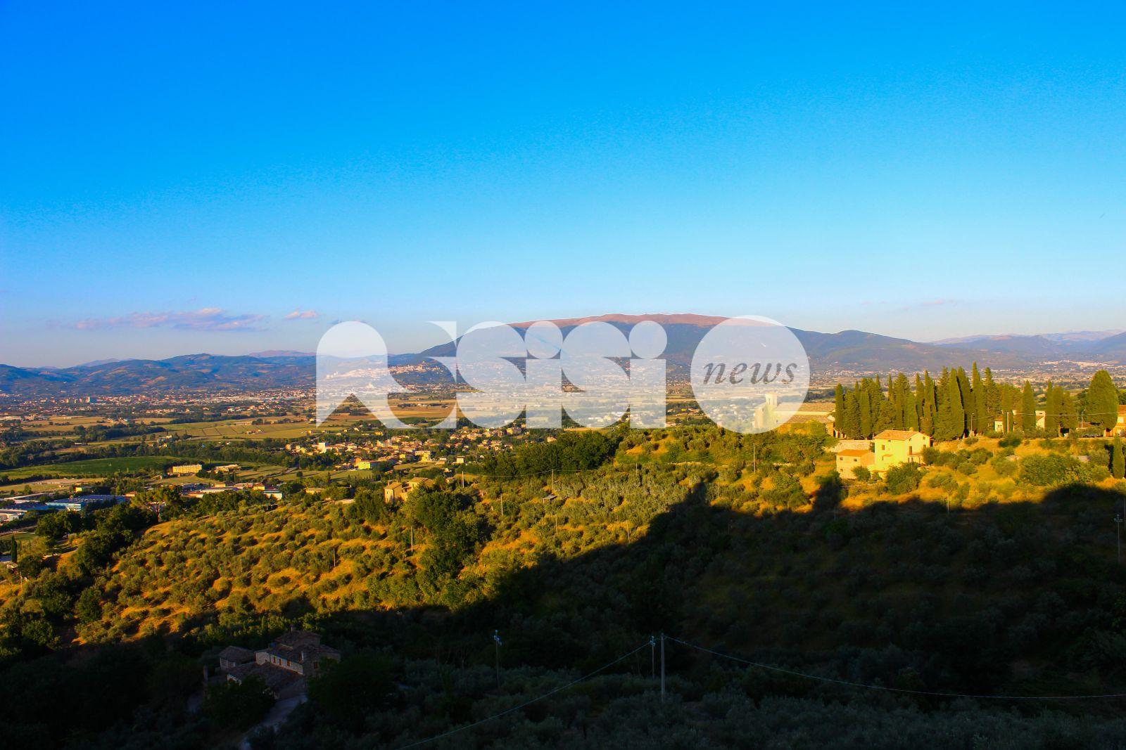 Zrc nel parco del Monte Subasio e gestione dei cinghiali, le minoranze presentano un'interpellanza