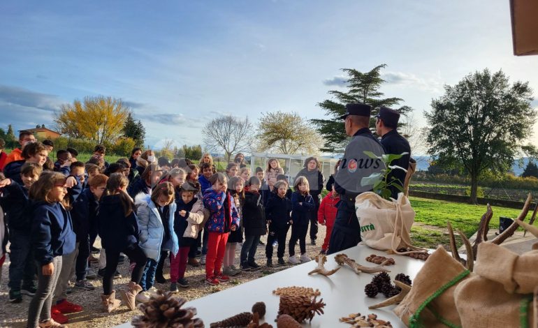 Festa dell’Albero, alla primaria di Tordandrea l’albero di Giovanni Falcone (foto)