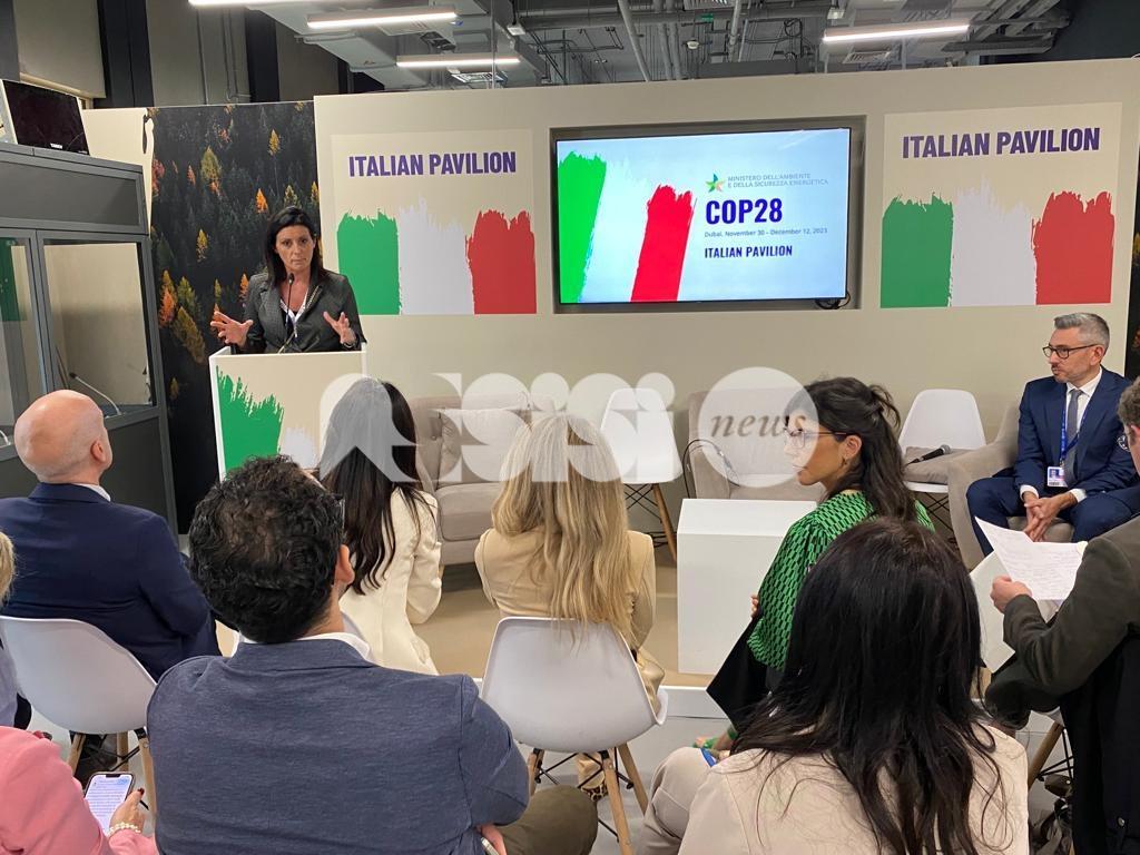 A Dubai si parla ancora di Assisi, e non si fermano le polemiche: "Chi paga il viaggio e perché?"