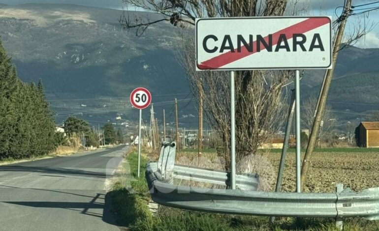 Cane investito a Cannara, si cerca il proprietario (immagine forte)