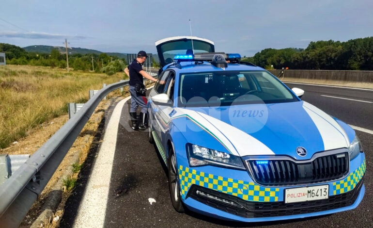 Sorpreso con cocaina, soldi e un coltello: arrestato 23enne