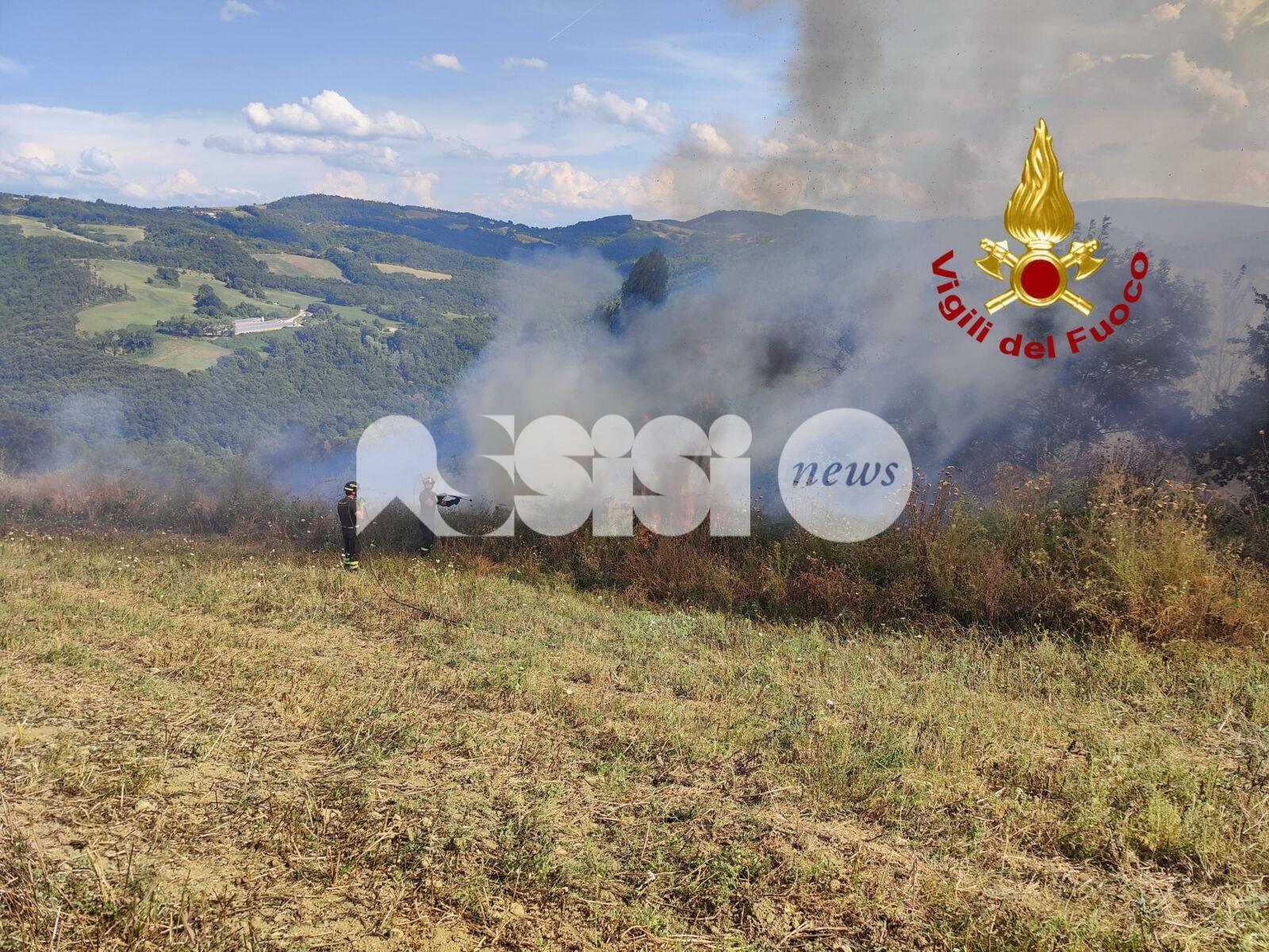 Incendio a Valfabbrica, minacciate case e un'azienda agricola: bonifica in corso (foto)