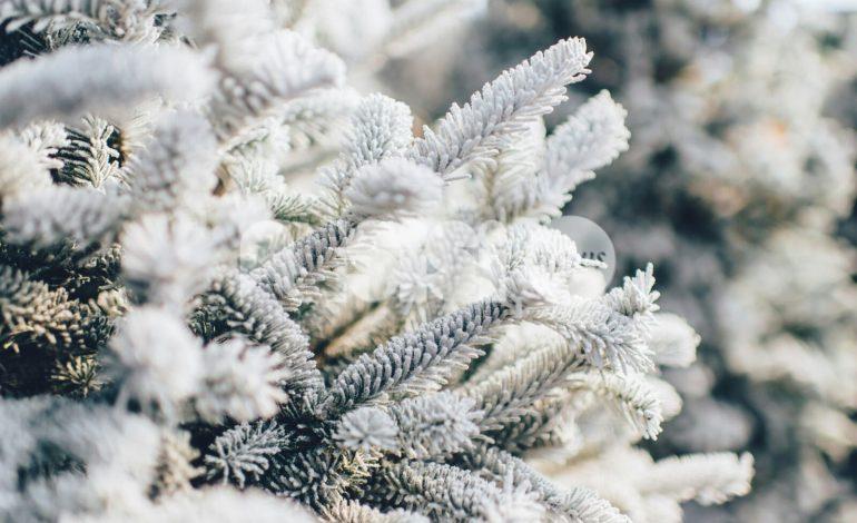 Meteo Assisi 22-24 novembre 2024: giornate belle ma fredde e forse neve in alta montagna