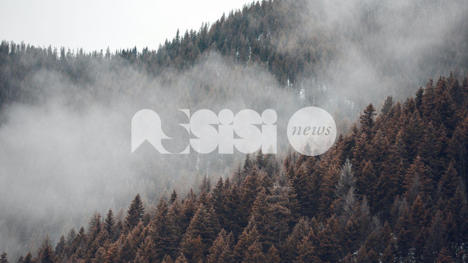 Meteo Assisi 13-15 dicembre 2024: nebbia e pioggia con qualche sprazzo di sole