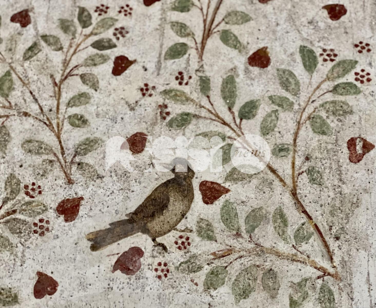 San Valentino 2025 ad Assisi: un percorso tra amore e natura