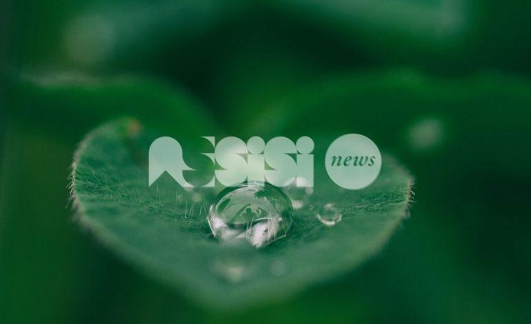 L’acqua come strumento di dialogo, cooperazione e pace: evento ad Assisi