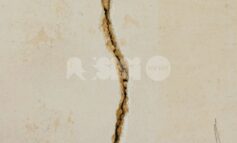 Scossa di terremoto a Foligno: controlli in corso, in Basilica a San Francesco "criticità assenti"