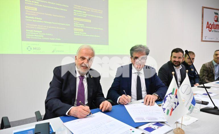 Agriumbria 2025 si chiude con 85mila presenze e nel segno della cooperazione con le altre manifestazioni di settore