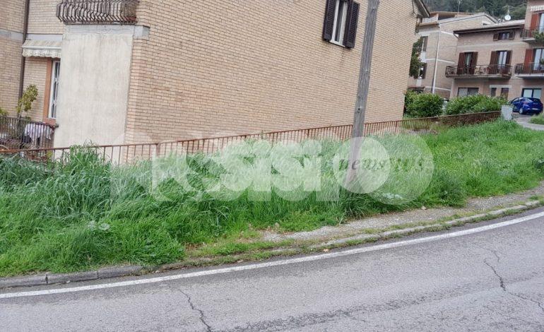 Erba alta e rifiuti non ritirati: i cittadini chiedono “aiuto” alla giunta