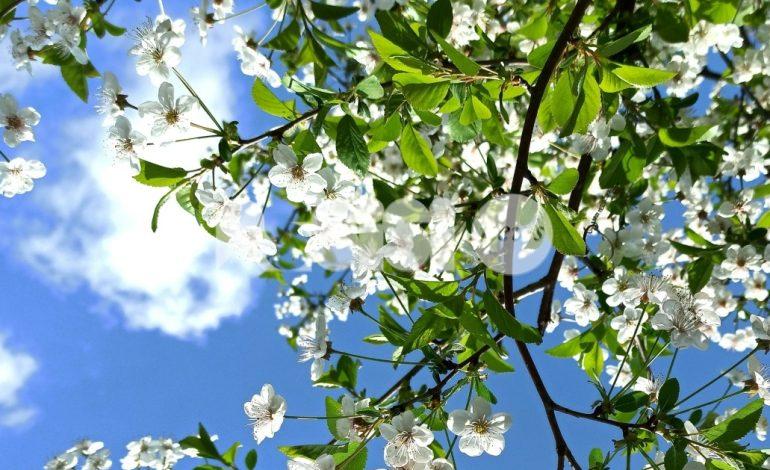 Meteo Assisi 11-13 aprile 2025: clima mite e giornate meravigliose con qualche nuvola