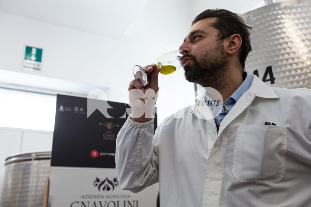 Gnavolini Raccolta Sapore: un 2025 di riconoscimenti per l’eccellenza olearia umbra