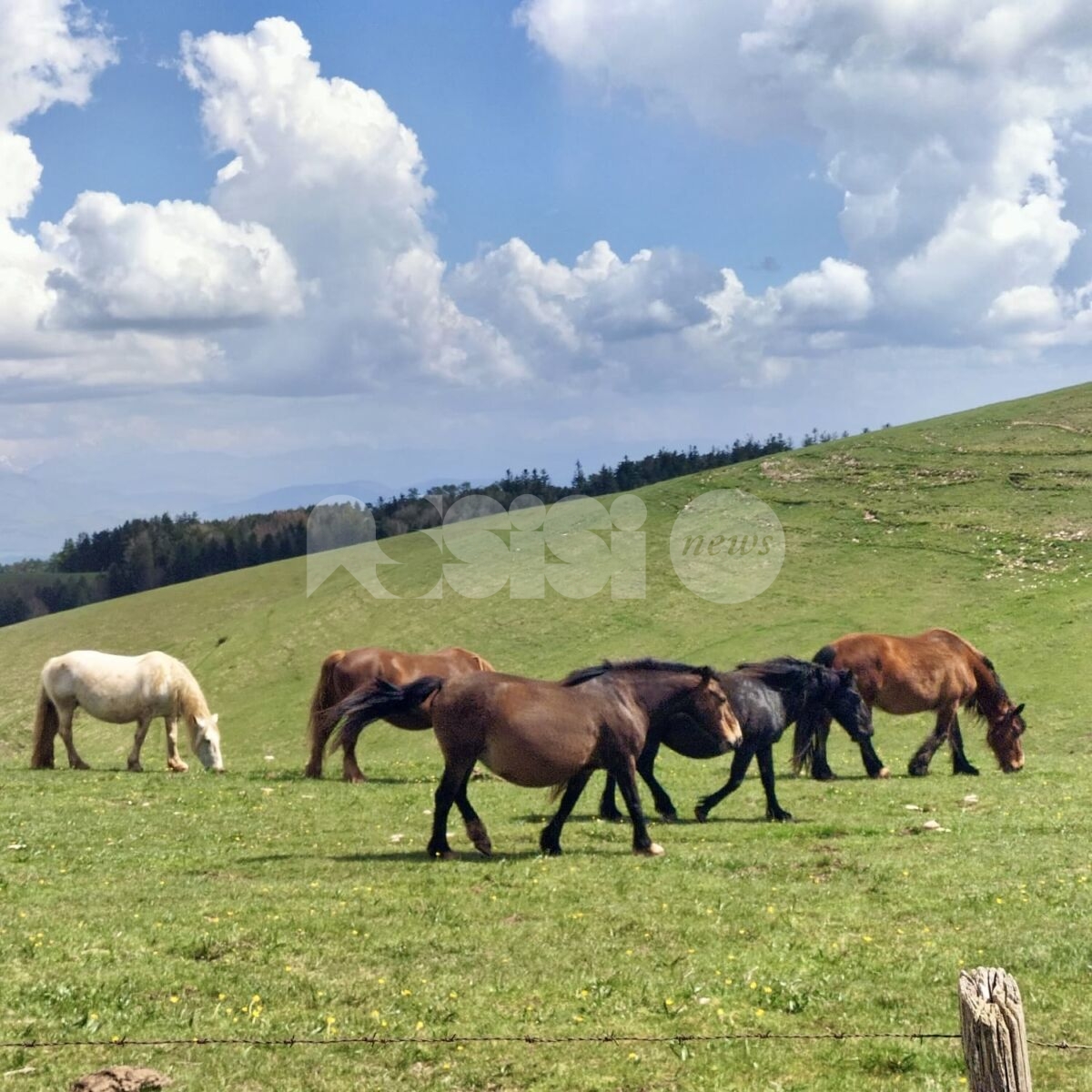 Il Monte Subasio protagonista in quattro puntate della trasmissione Geo