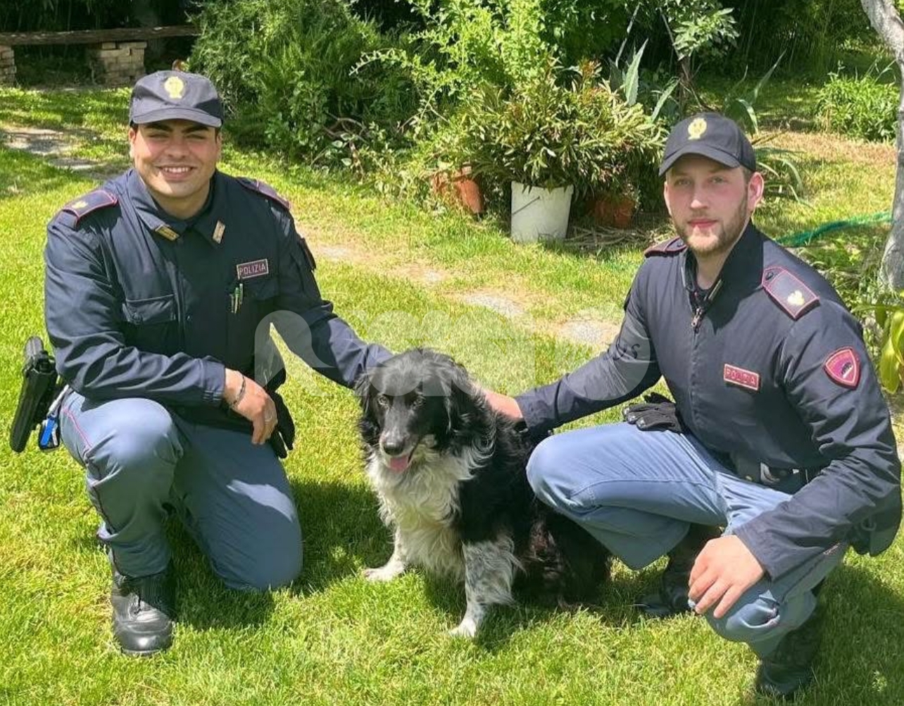Fly scappa da casa, lo ritrovano ad Assisi gli agenti della Polizia di Stato