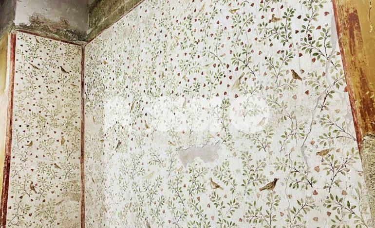 Estate 2025 ad Assisi, visite guidate alla mostra di Banksy e alle Domus Romane