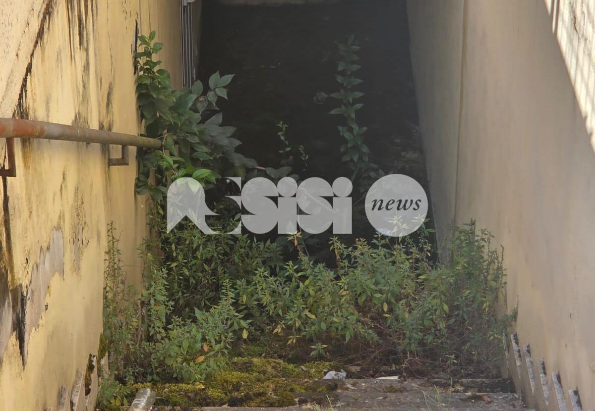 Bagni pubblici a Santa Maria nel degrado, l'opposizione: "Assisi merita decoro"