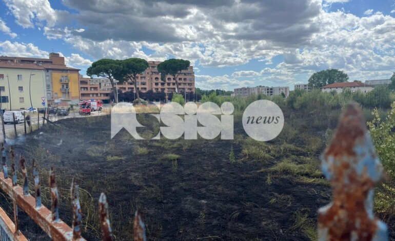 Incendio nei terreni di fronte alla stazione, paura ieri a Bastia