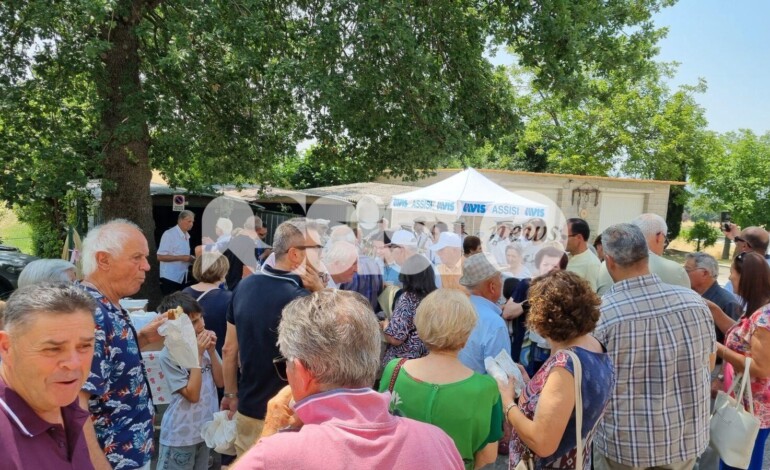 Avis Assisi, l’appello: “L’estate non fermi le donazioni”