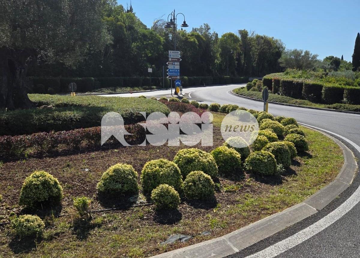 Rotatorie ripulite ed erba tagliata: botta e risposta minoranza - sindaco
