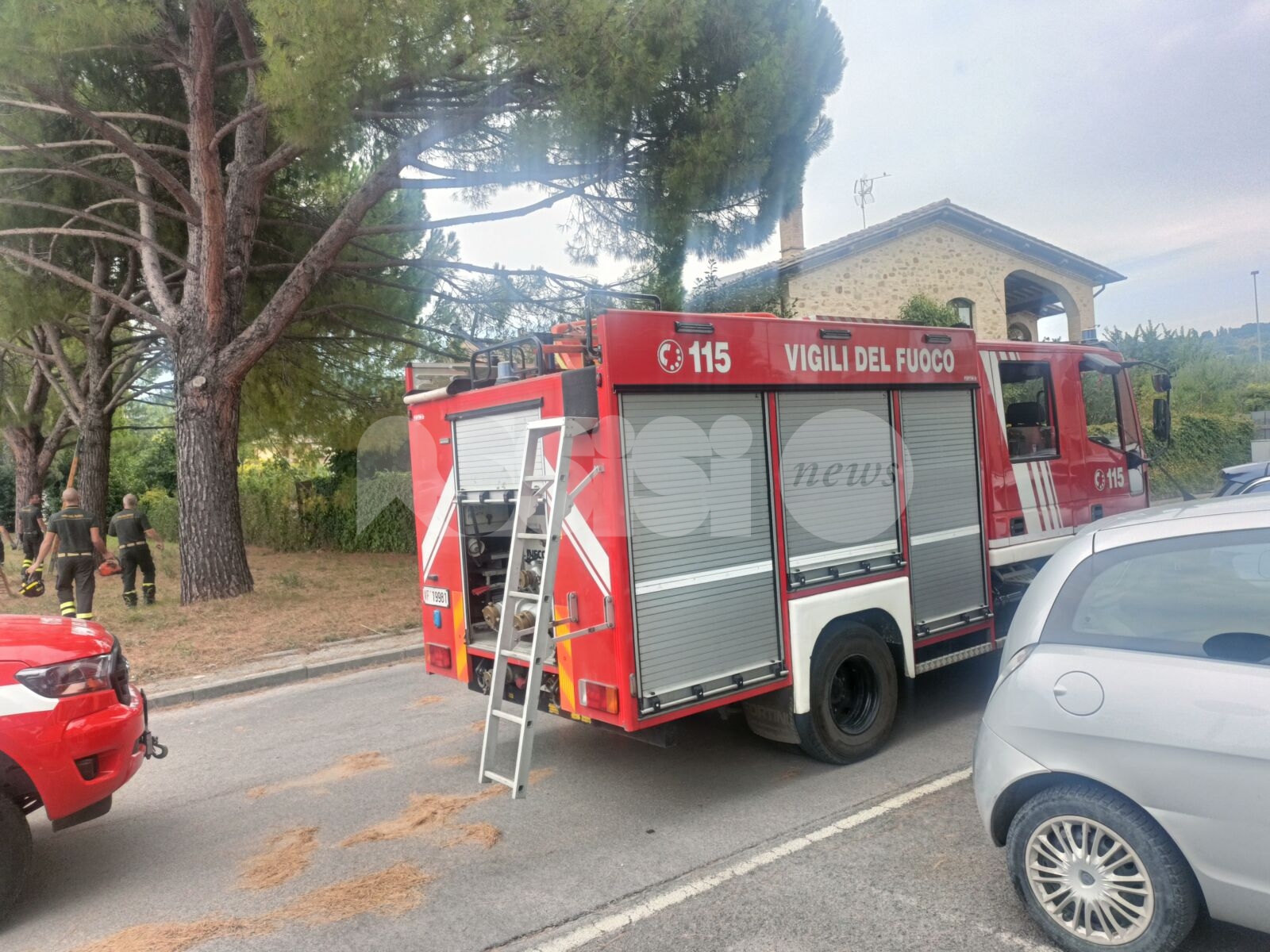 Rami pericolanti a Palazzo, intervengono i vigili del fuoco