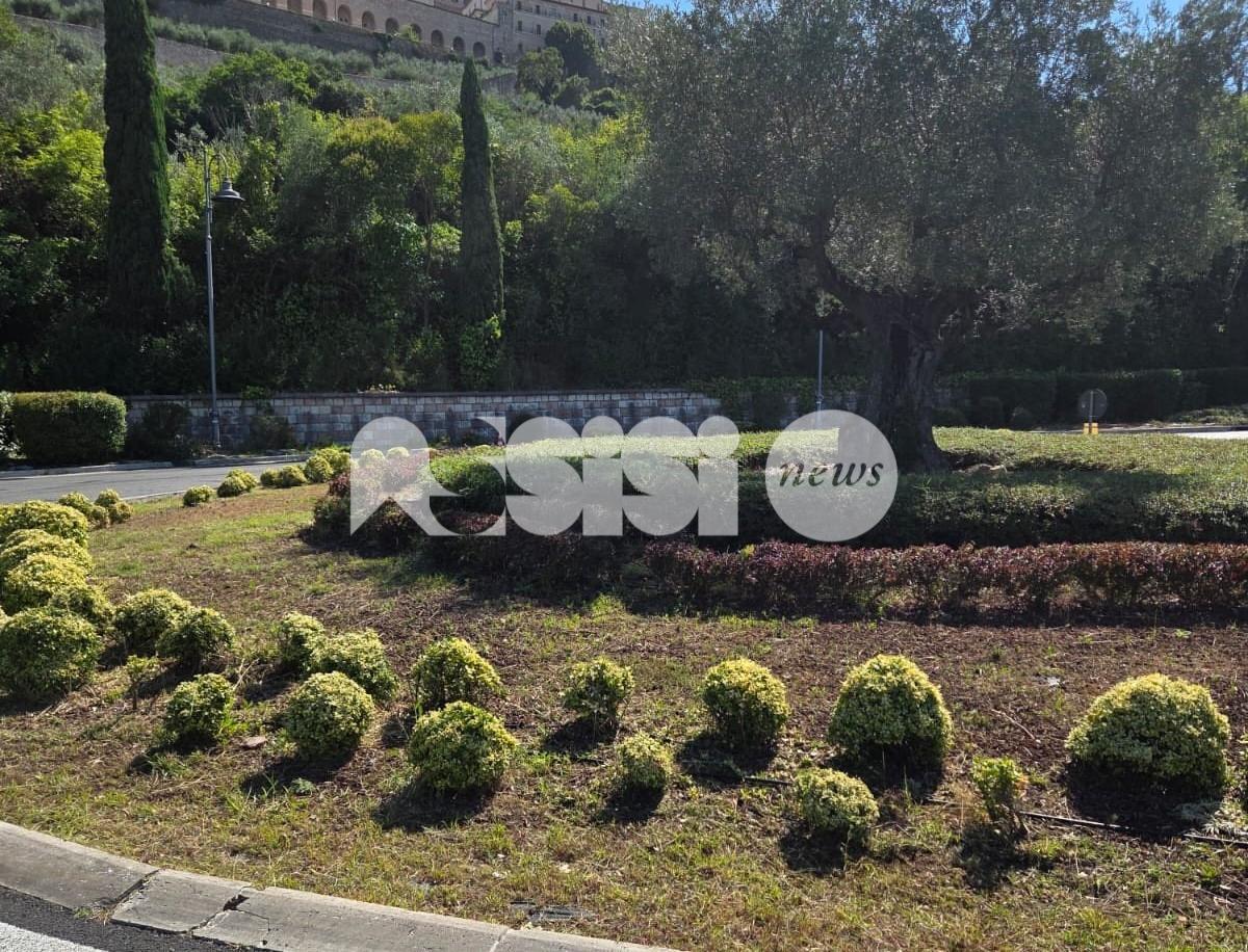 Verde pubblico, Cicogna e Cavallucci: "Non va solo tagliato, ma curato quotidianamente"