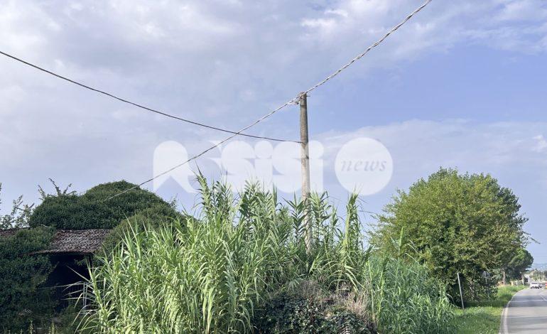 Rete idrica, strade dissestate e illuminazione: continuano le segnalazioni dei residenti