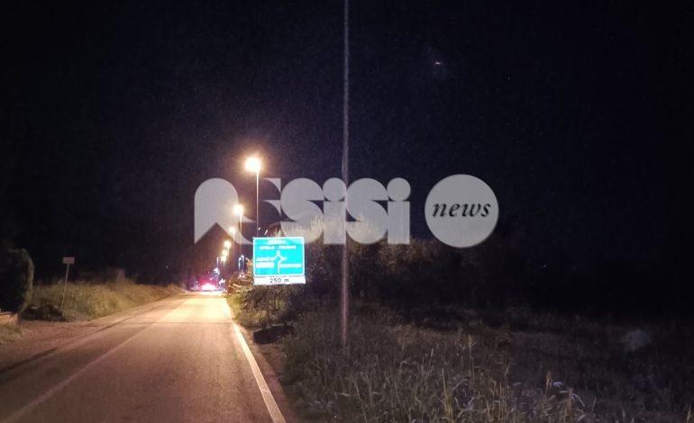 Emergenza luci e piccioni, Forza Italia ancora all’attacco della giunta
