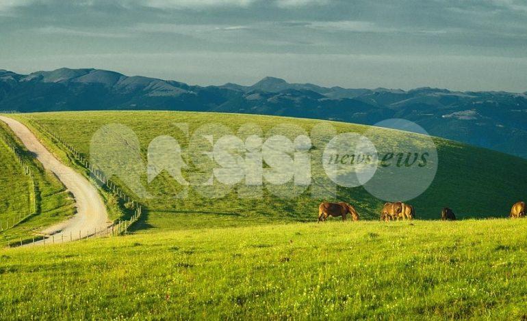 Sacro Subasio: una conferenza per scoprire il cuore mistico del Monte e presentare il team Vannacci