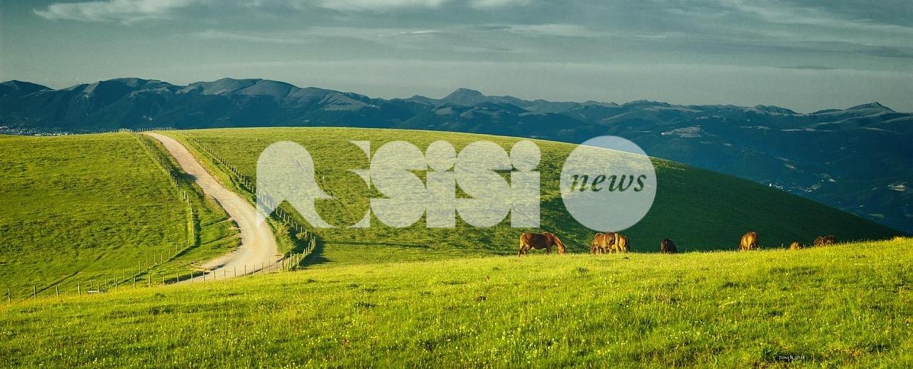 Sacro Subasio: una conferenza per scoprire il cuore mistico del Monte e presentare il team Vannacci
