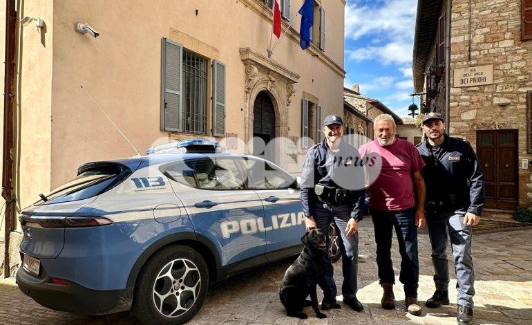 Labrador epilettico salvato dai poliziotti: disavventura a lieto fine per Chico